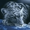 Kasutaja avatar