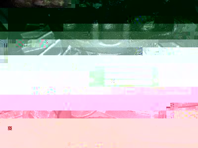 12650365_1035783799811425_1487162286_n.jpg